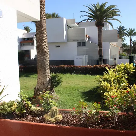 Primavera Tenerife Sur