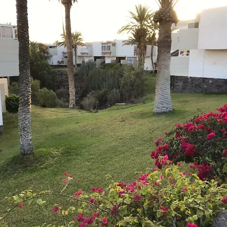 Primavera Tenerife Sur