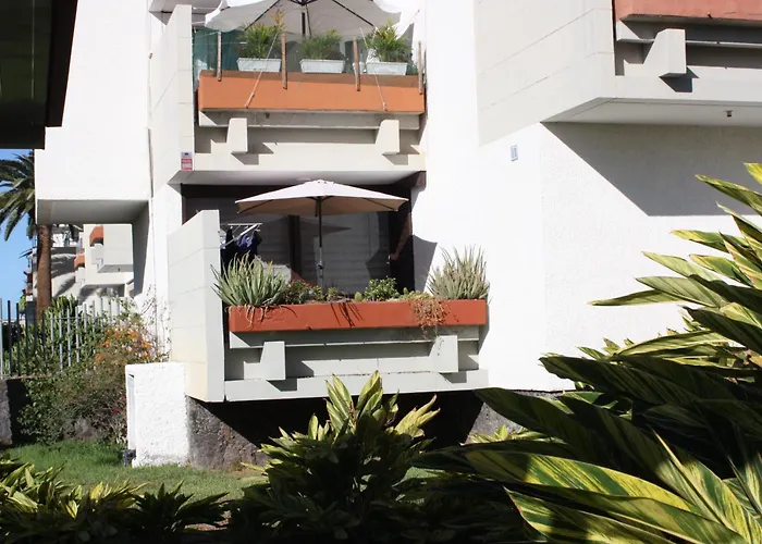 Primavera Tenerife Sur ארונה