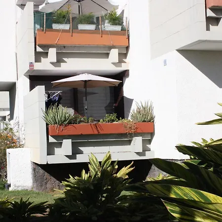 Primavera Tenerife Sur 아로나