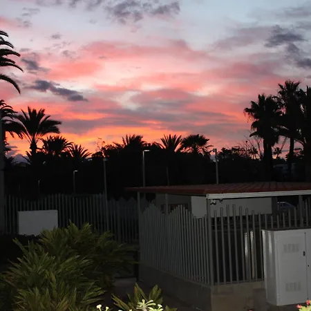 Primavera Tenerife Sur *