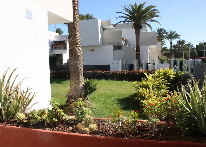 Primavera Tenerife Sur